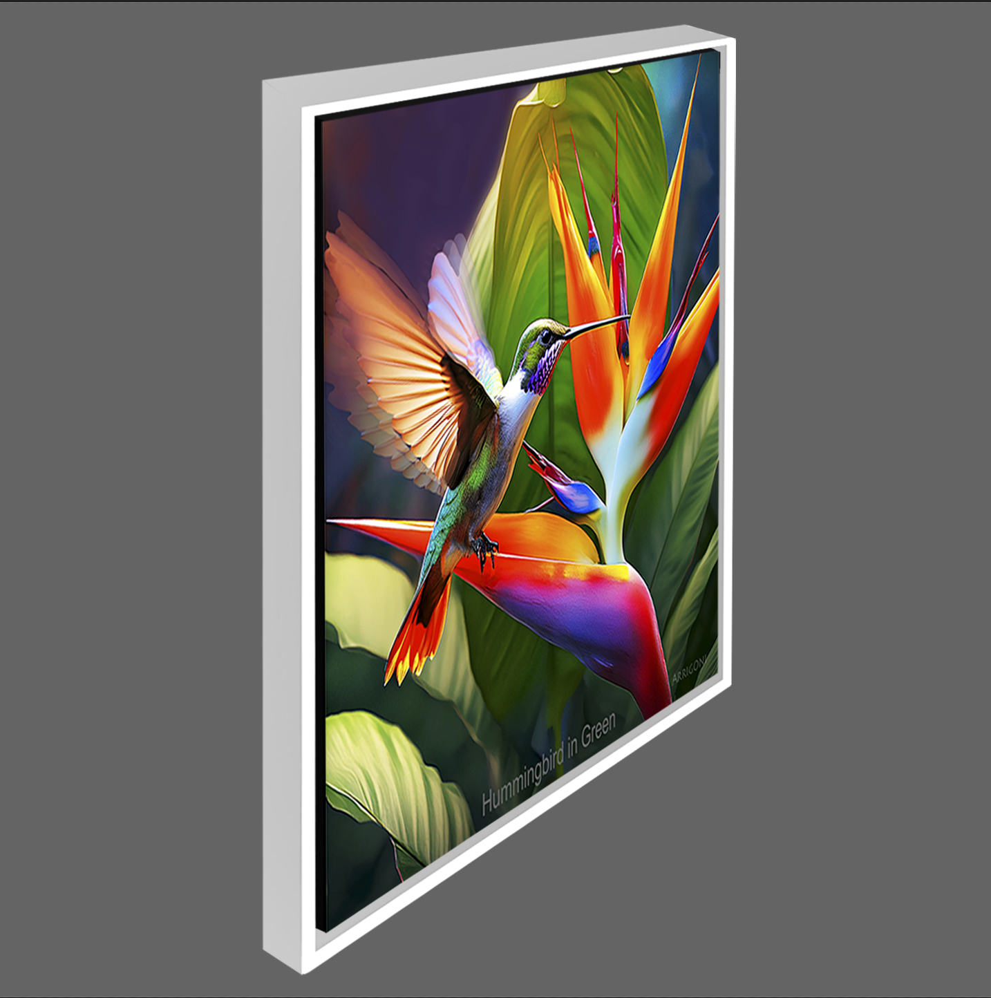 HUMMINGBIRD IN GREEN (CANVAS FRAMED)