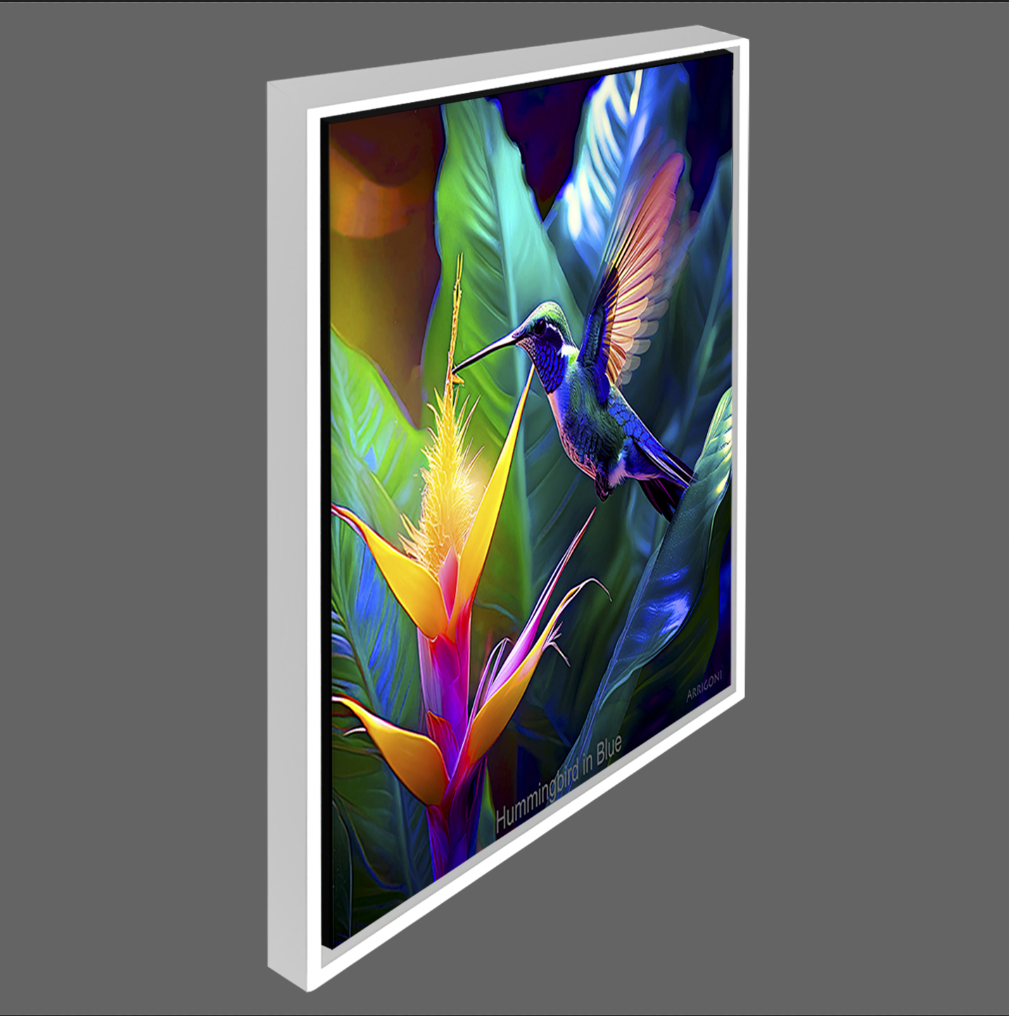 HUMMINGBIRD IN BLUE (CANVAS FRAMED)