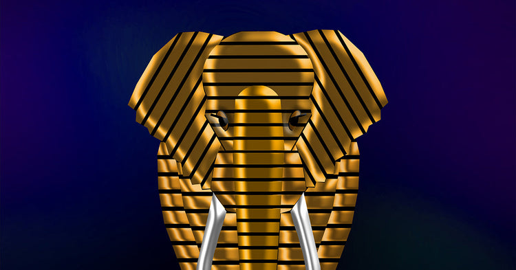 ELEPHANTS (SHORT VIDEOS)