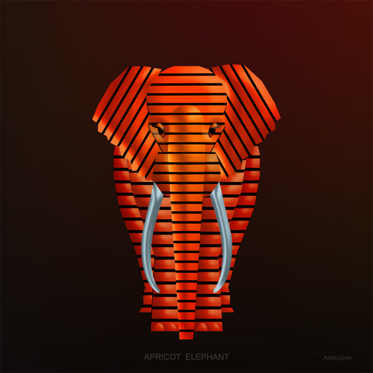 APRICOT ELEPHANT (CANVAS ONLY)