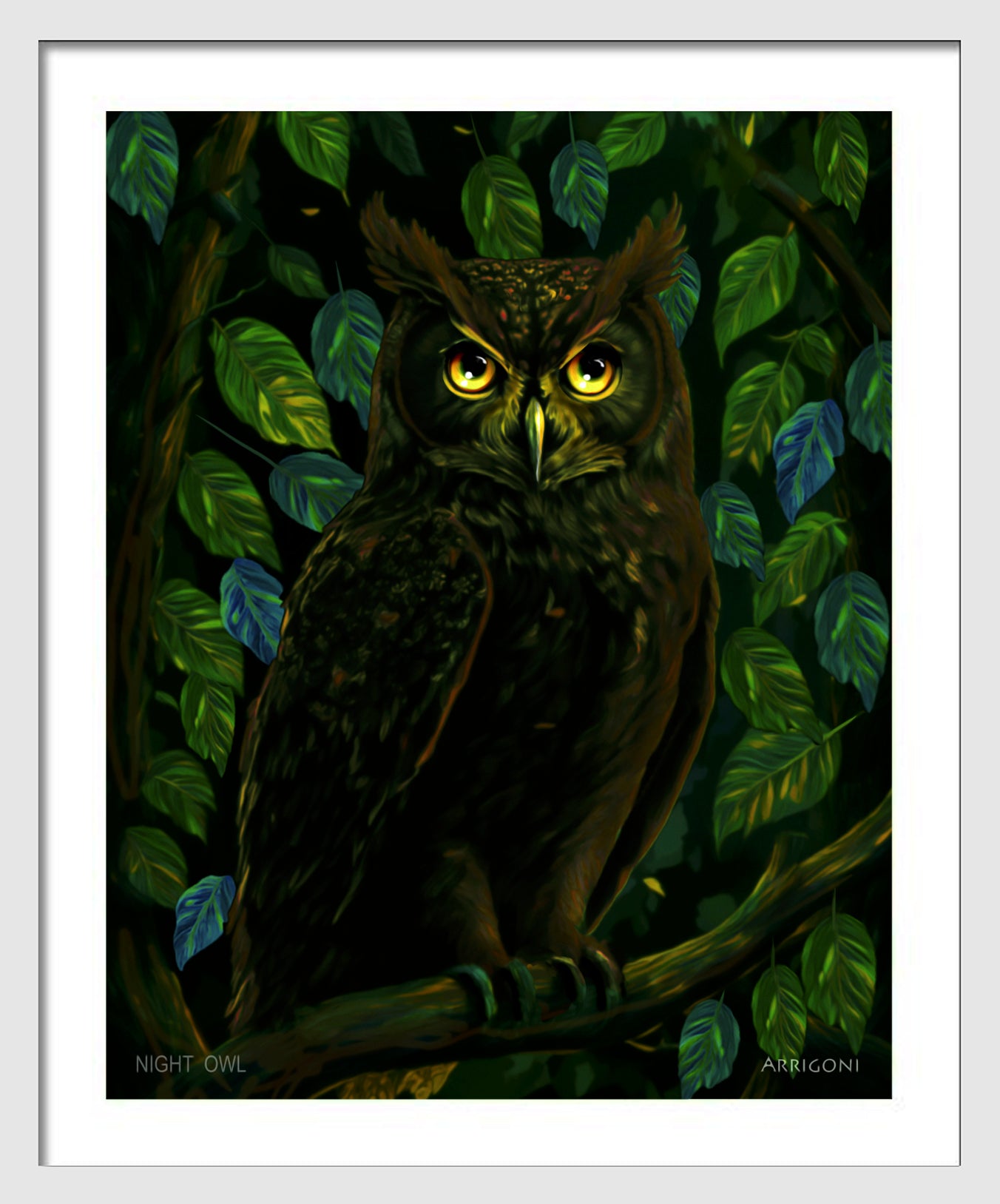 NIGHT OWL (FINE ART PAPER PRINT FRAMED)