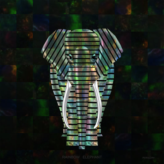 RAINBOW ELEPHANT (CANVAS ONLY)