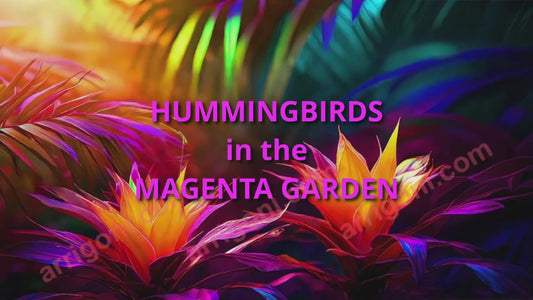 HUMMINGBIRDS in the MAGENTA GARDEN (video download with music and voice)