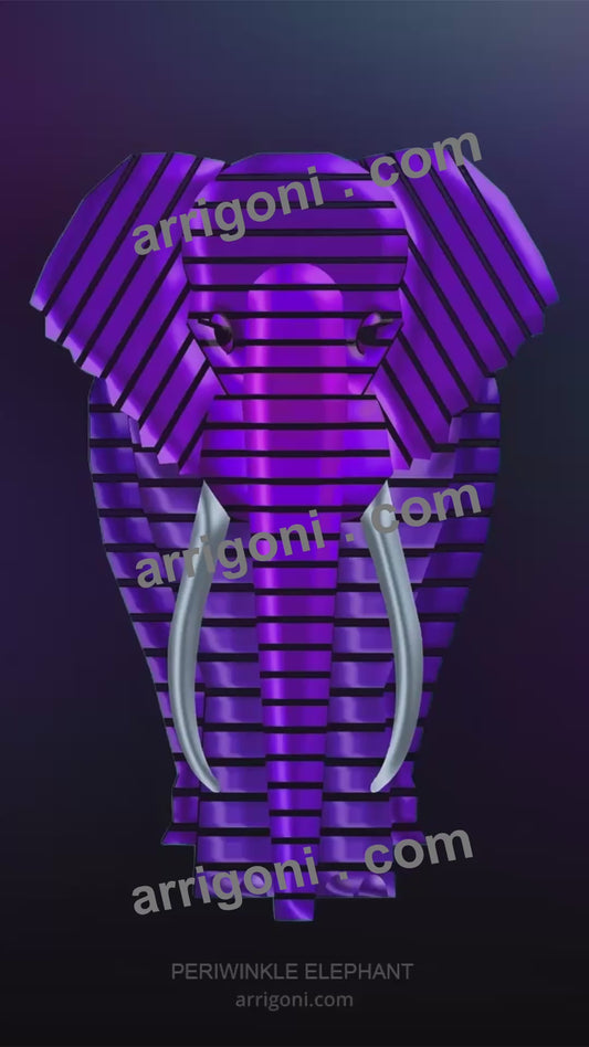 PERIWINKLE ELEPHANT ( vertical format ) SHORT VIDEO