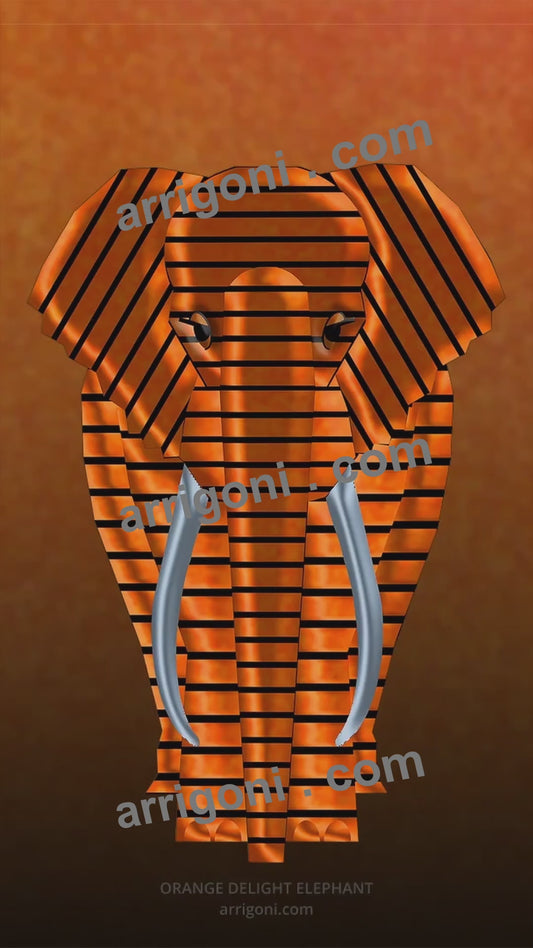 ORANGE DELIGHT ELEPHANT ( vertical format ) SHORT VIDEO