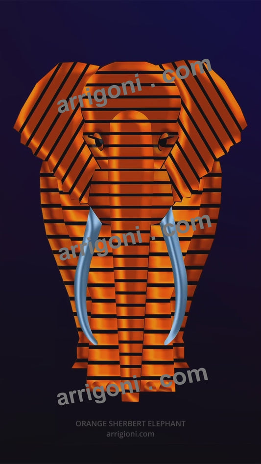 ORANGE SHERBET ELEPHANT ( vertical format ) SHORT VIDEO